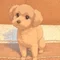 てんとう虫のちょこまか記録