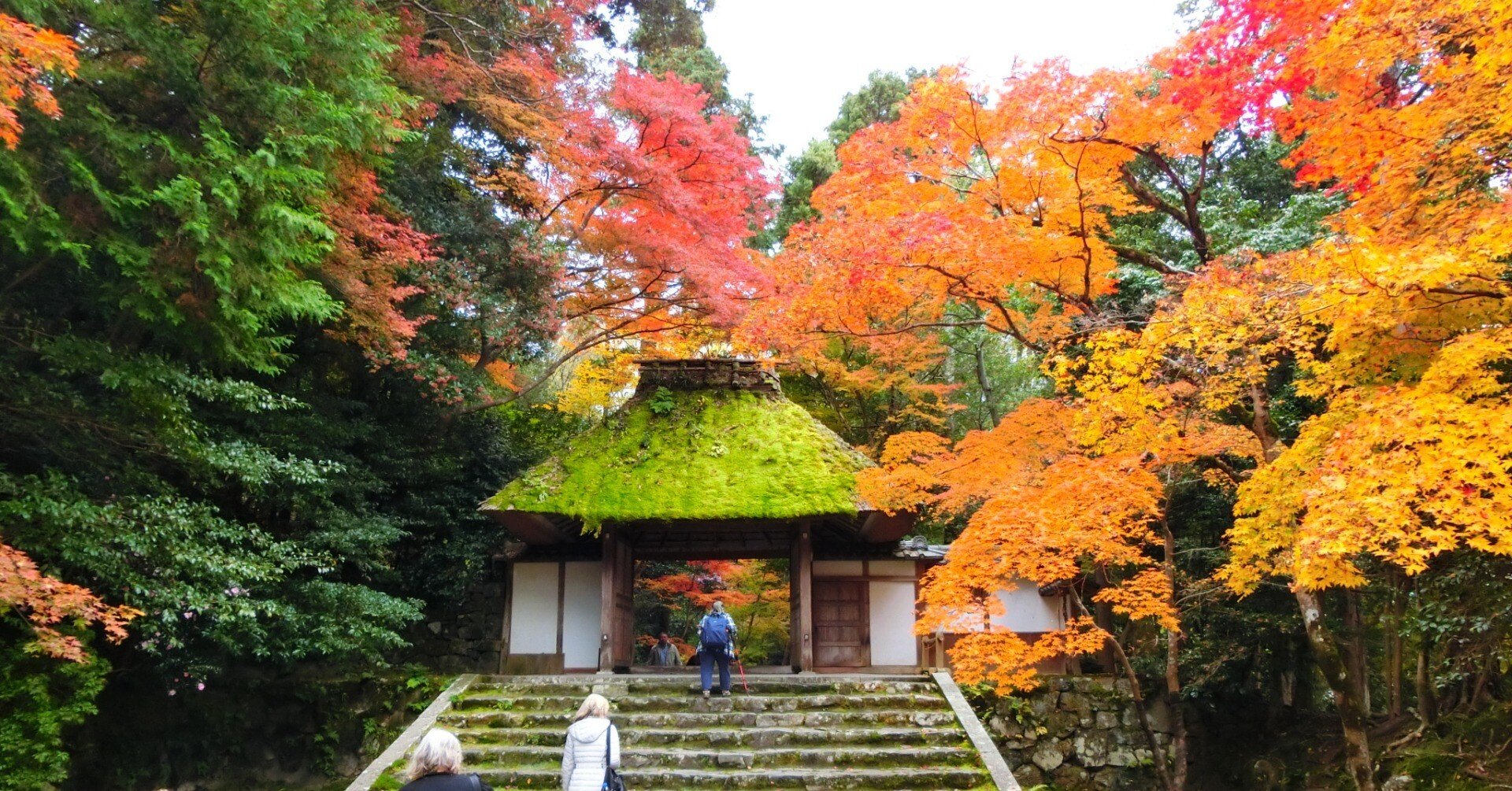 山門×石畳×白砂壇は京都唯一無二「法然院」へGO【哲学の道】【南禅寺