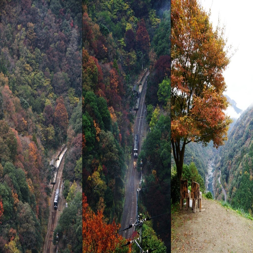 かさけ！(雨ぐもみ！) 風が叫び雨が泣いて紅葉は極上のエンターテイメント｜旅するカメラ＠土