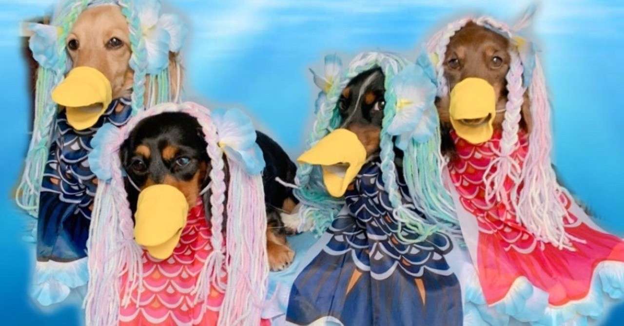 アマビエ チャレンジ アマビエまつり Note