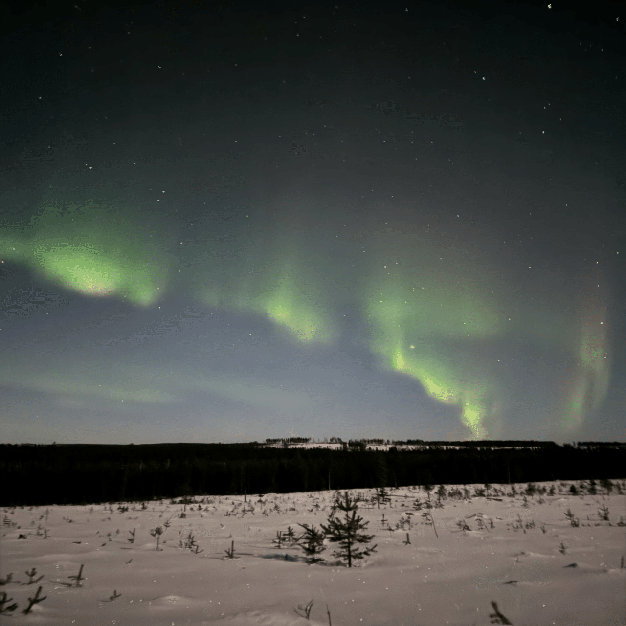 旅行備忘】フィンランド・オーロラ鑑賞チャレンジ｜Tapioca Pudding🎶