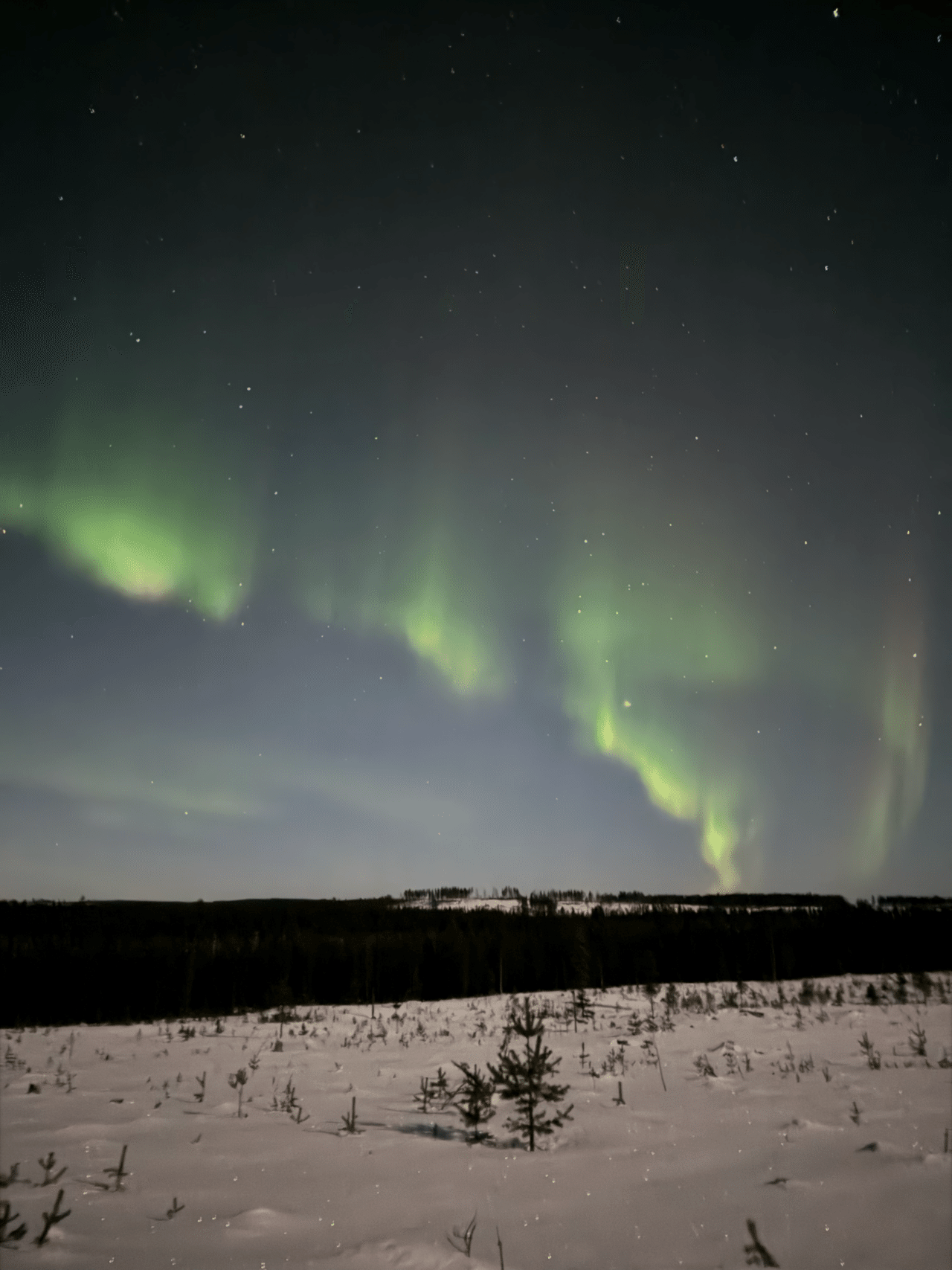 旅行備忘】フィンランド・オーロラ鑑賞チャレンジ|Tapioca Pudding🎶 旅行備忘】フィンランド・オーロラ鑑賞チャレンジ|Tapioca Pudding🎶
