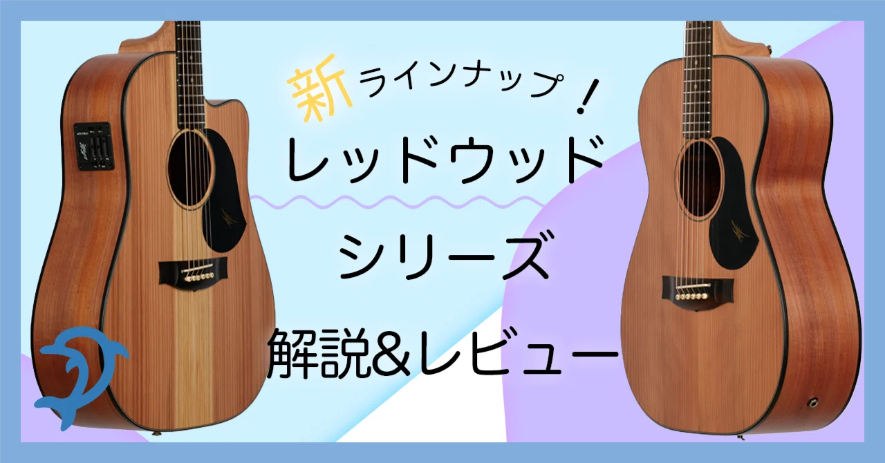 New MATON Lineup! Explanation & Demo Review of the Redwood Series｜ドルフィン ...