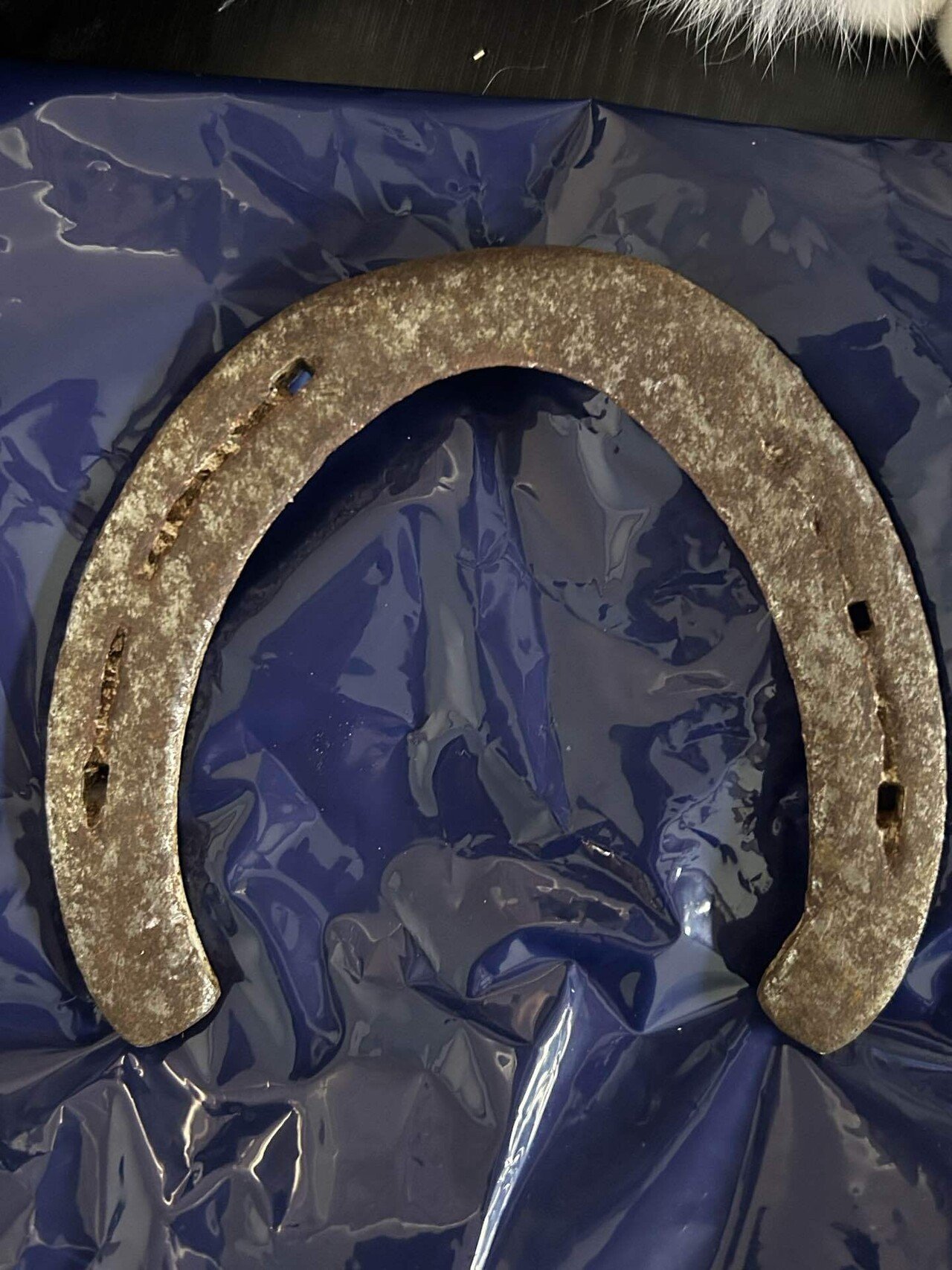 蹄鉄｜吉村月華