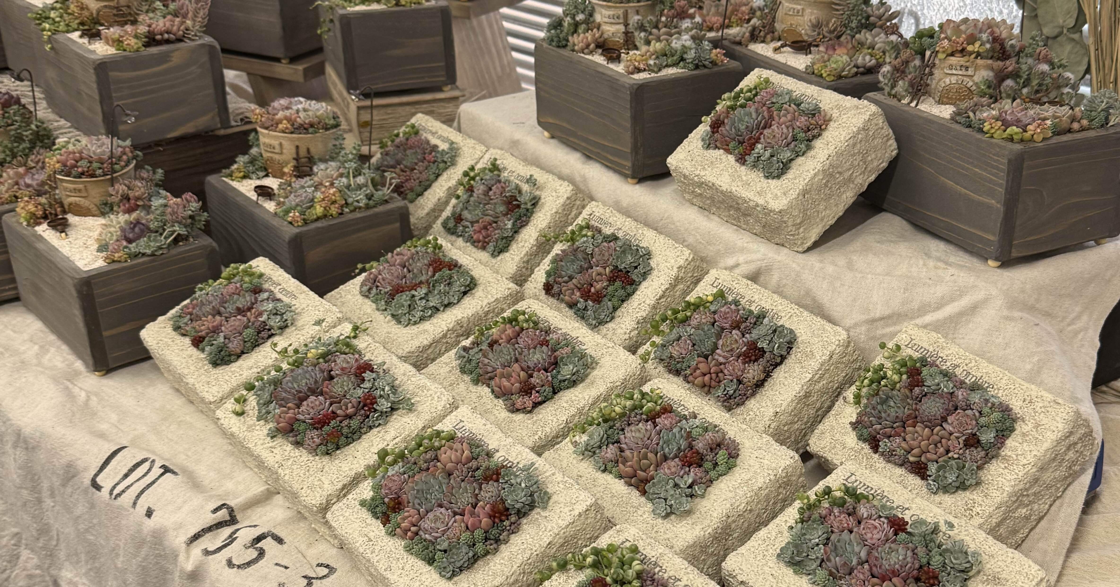 彩りnote 7.12.7【多肉植物のタブローと箱庭の寄せ植え】｜__bebe 𓇗 ⚚ 𓇚