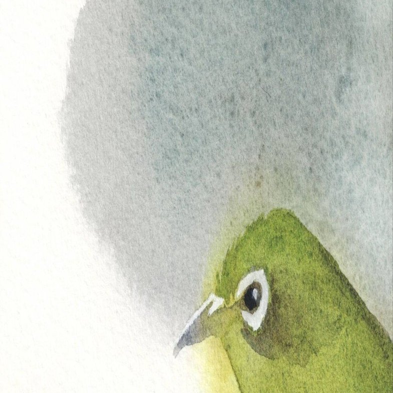 水彩画 今年も｜ちろ