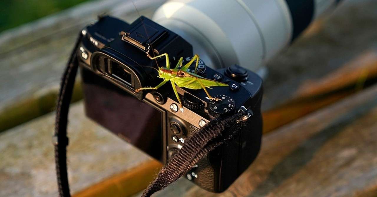 25年のカメラ機材史 フリー1年目でナショナルジオグラフィック表紙を撮ったフォトグラファーがどんなカメラをどう使ってきたか 花井亨 Toru Hanai Toruhanai Note