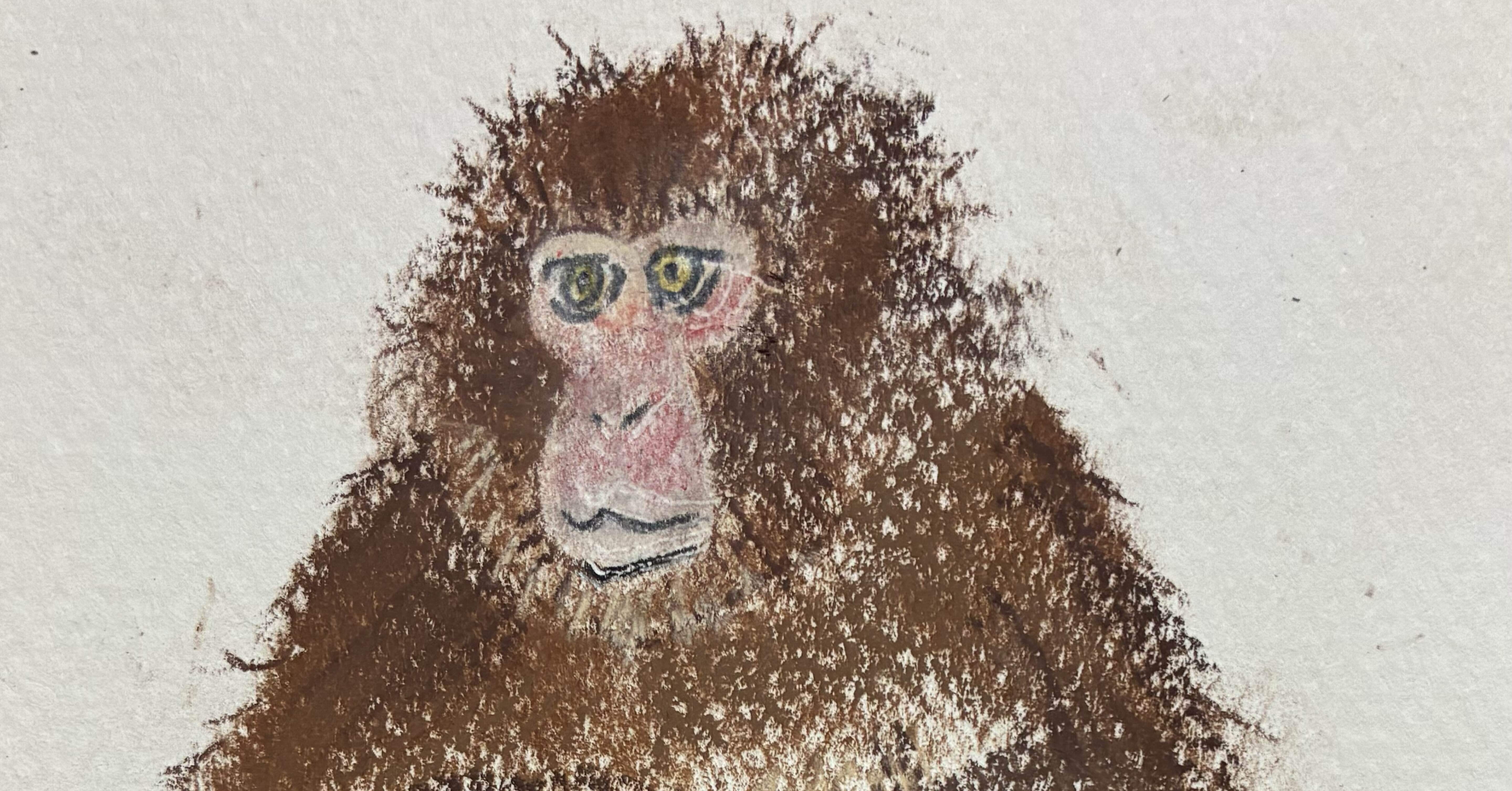 お猿さんのパステル画です。｜まる