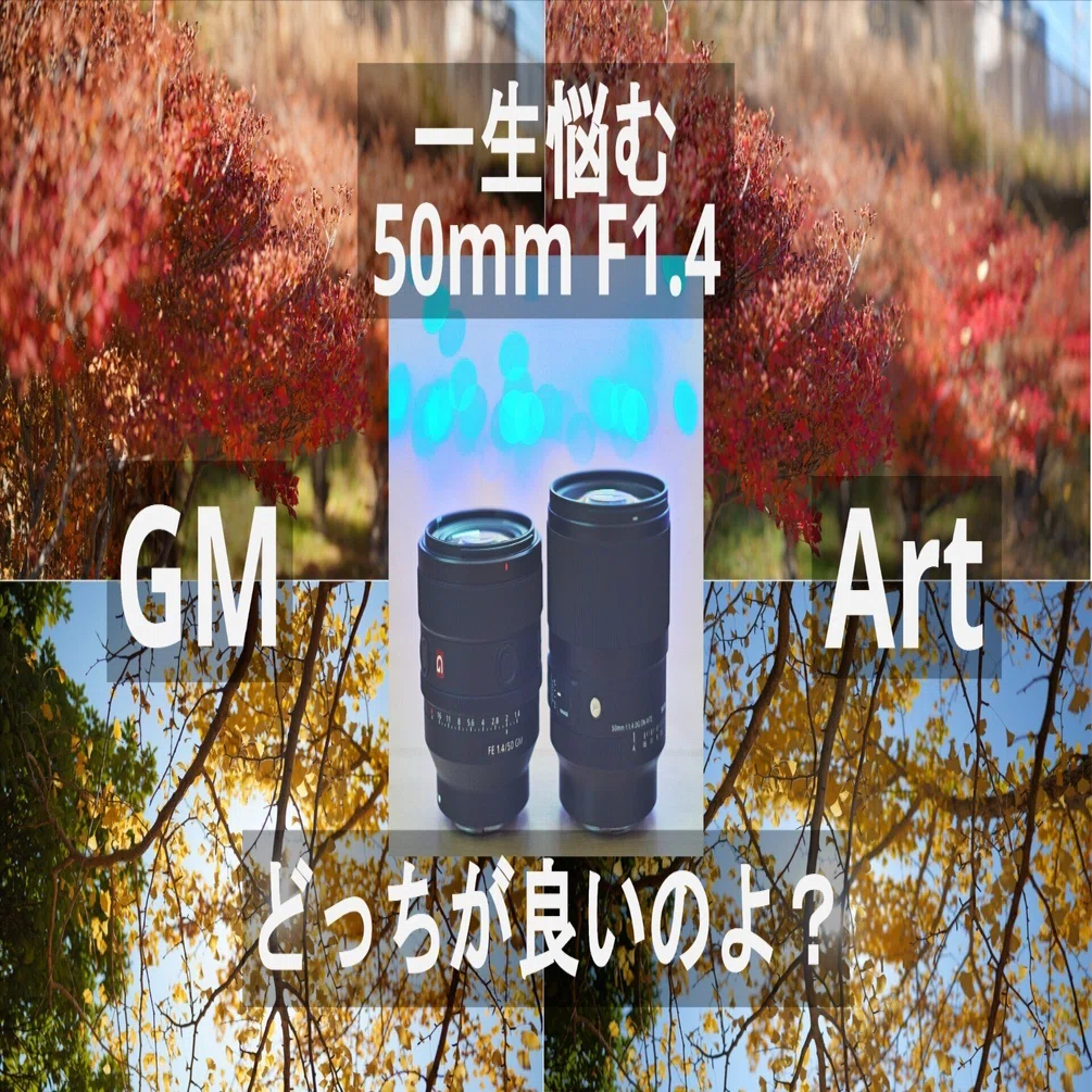 早い者勝ち。SIGMA 50mm F1.4 シグマの大口径・標準レンズ「50mm F1.4 DG DN」レビュー、新旧モデル