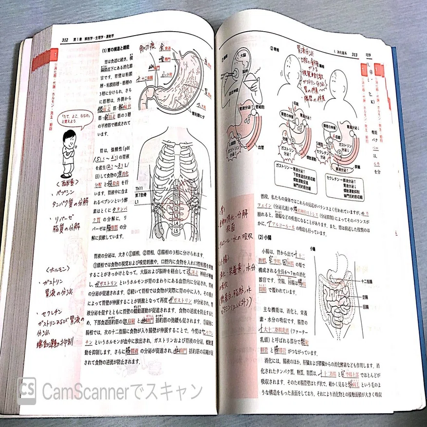 これだけやっておけばいい！PT国家試験対策｜すけさん@稼ぐ理学療法士
