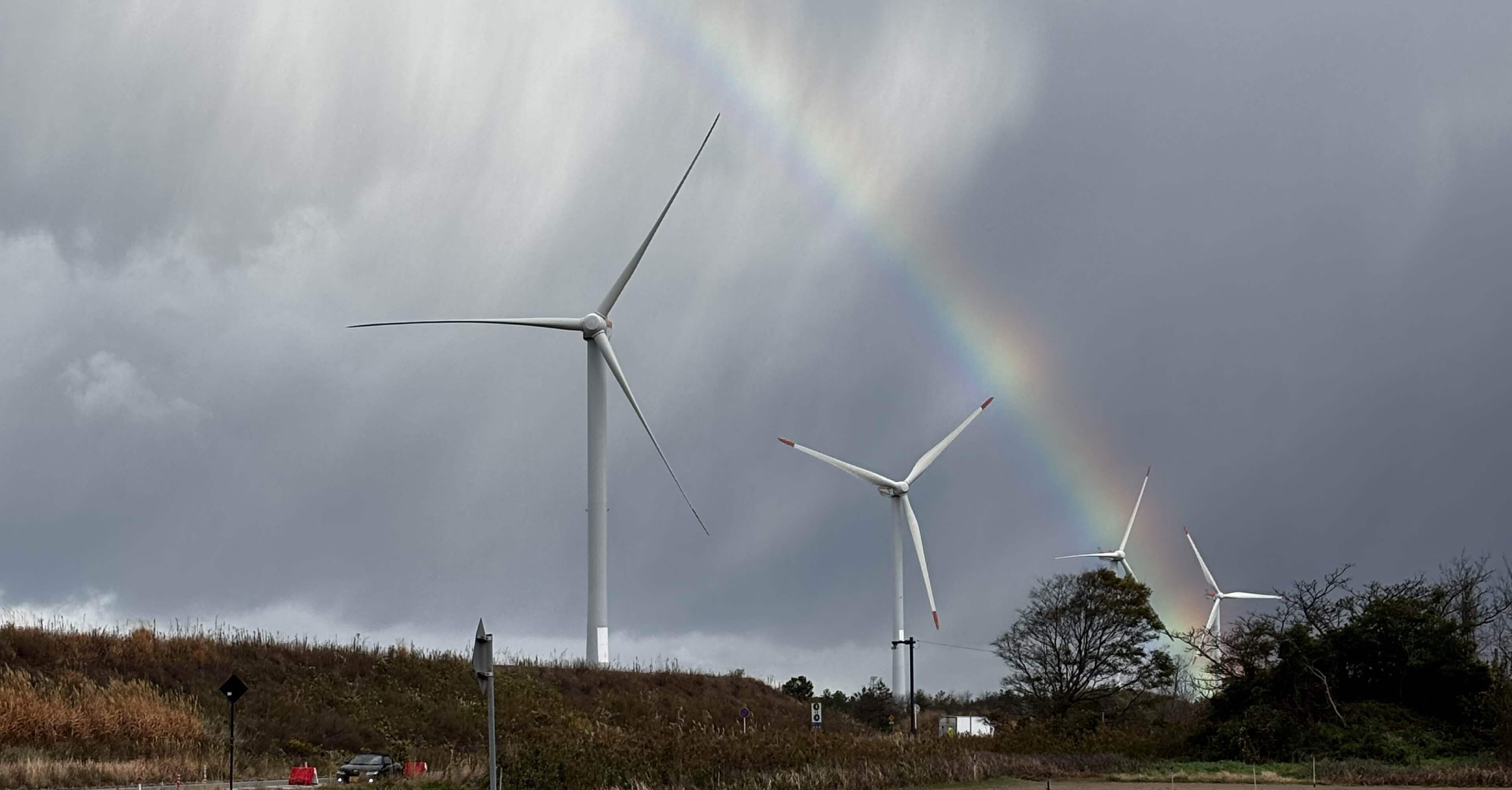 シェイプリフト SURF】JIVE SPACECRAFT /Lifter7'2“｜Negi東栃福千鳥