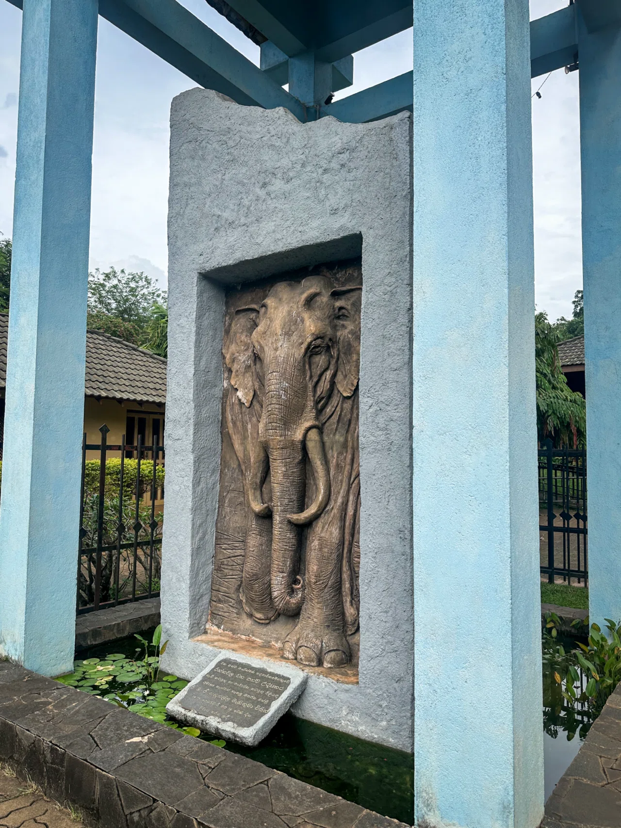 🐘 スリランカでアーユルヴェーダしてきました：ピンナワラの象の孤児