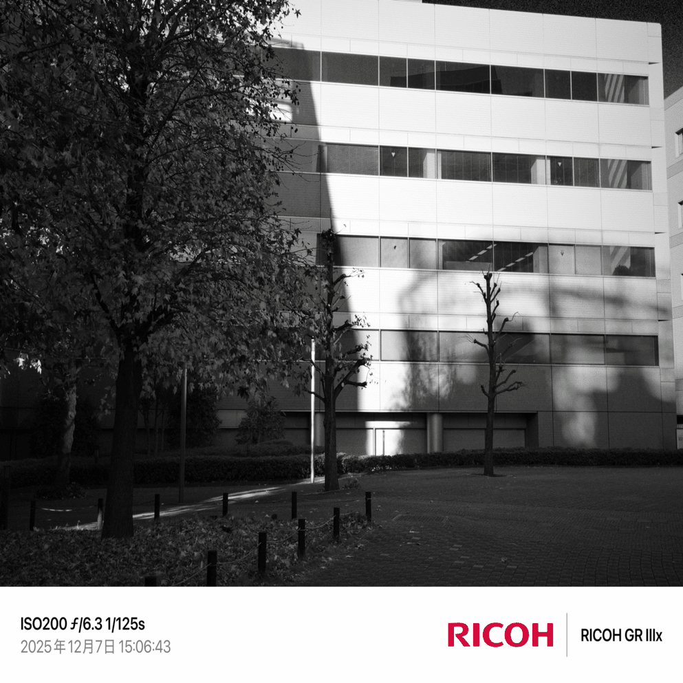 Life with GR3x /93｜Napa