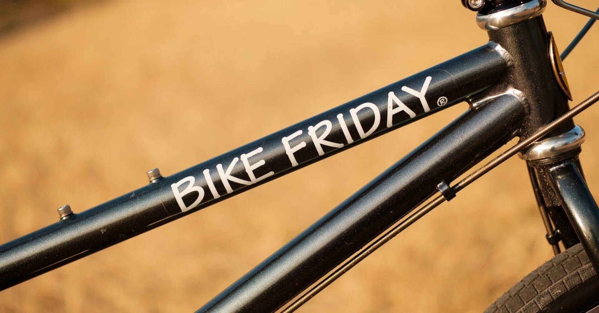 BIKE FRIDAY Diamond Llamaを買いました｜103