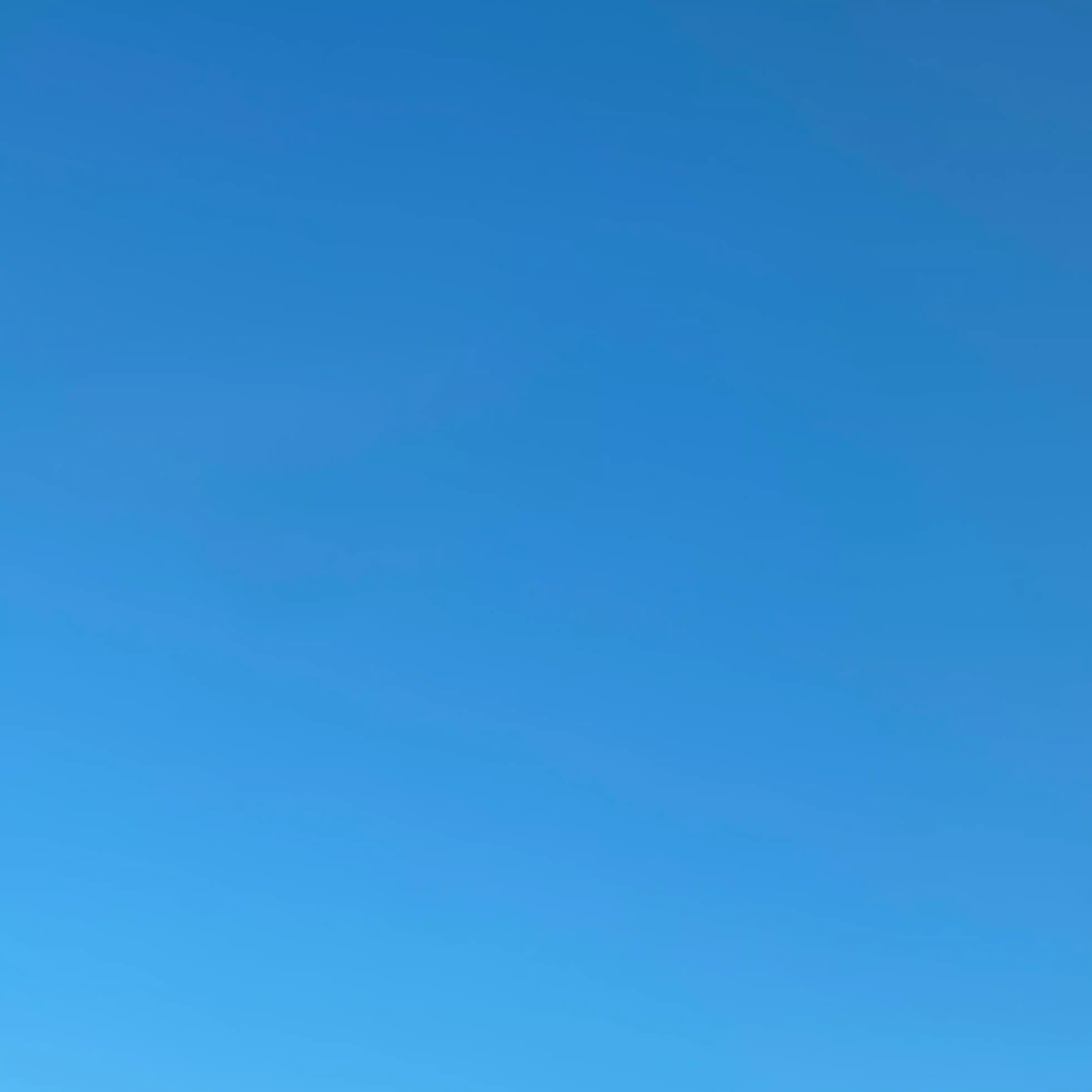 掃き溜めに鶴