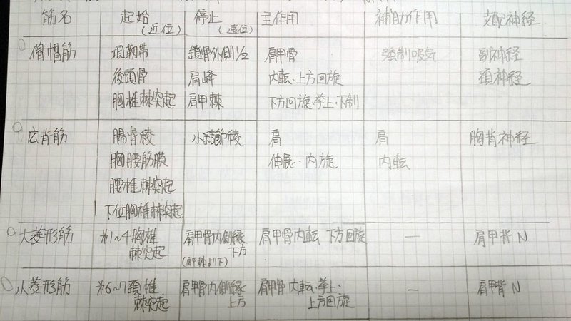 失敗しない勉強方法 筋学 1 Forセラピスト 何でも正直に言っちゃうカイロプラクター Note