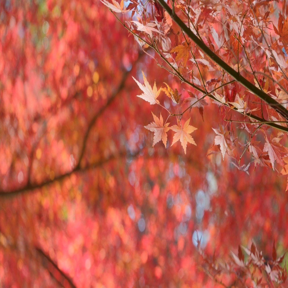 久しぶりのX-T5｜シェル