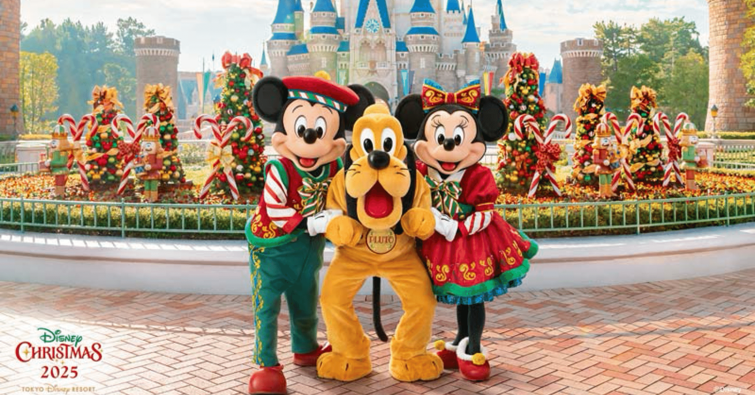 Tokyo Disney Sea】クリスマスディズニー 成功🎄🎁☃️｜みなみの旅日記