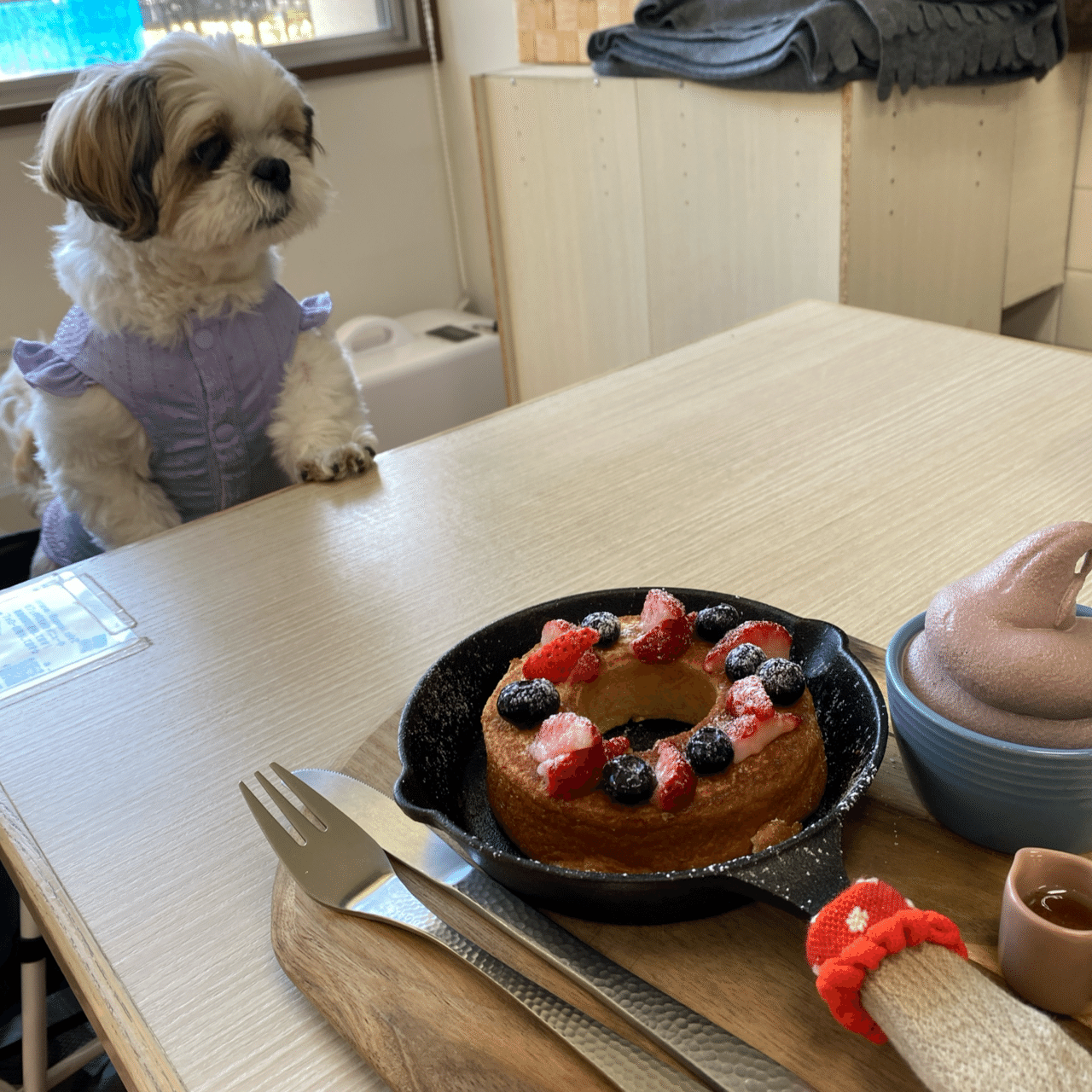 ジェフサポ犬部の活動報告｜すぬぱん