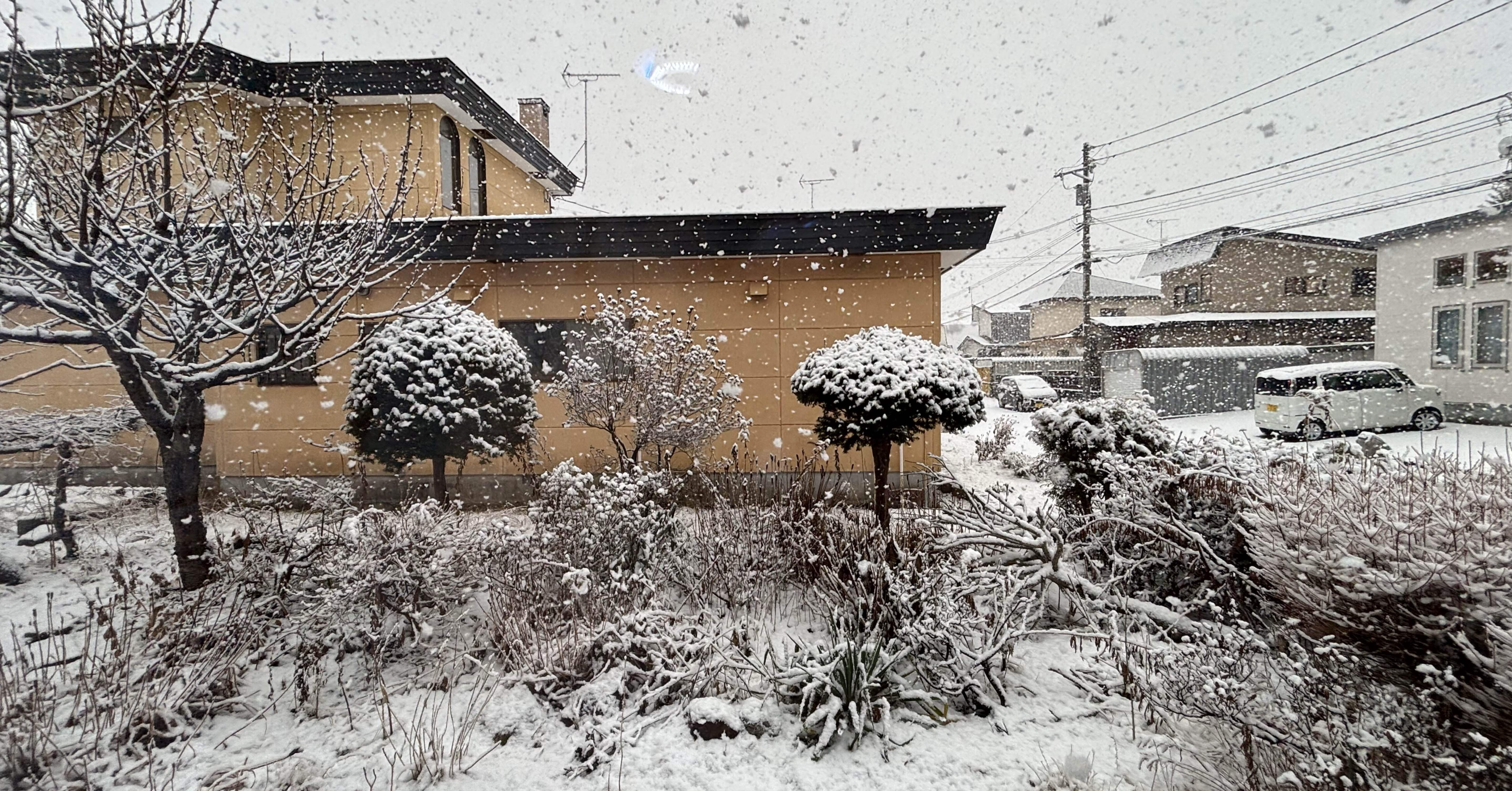 ba8694872df8849f0f56bf52fae2c9