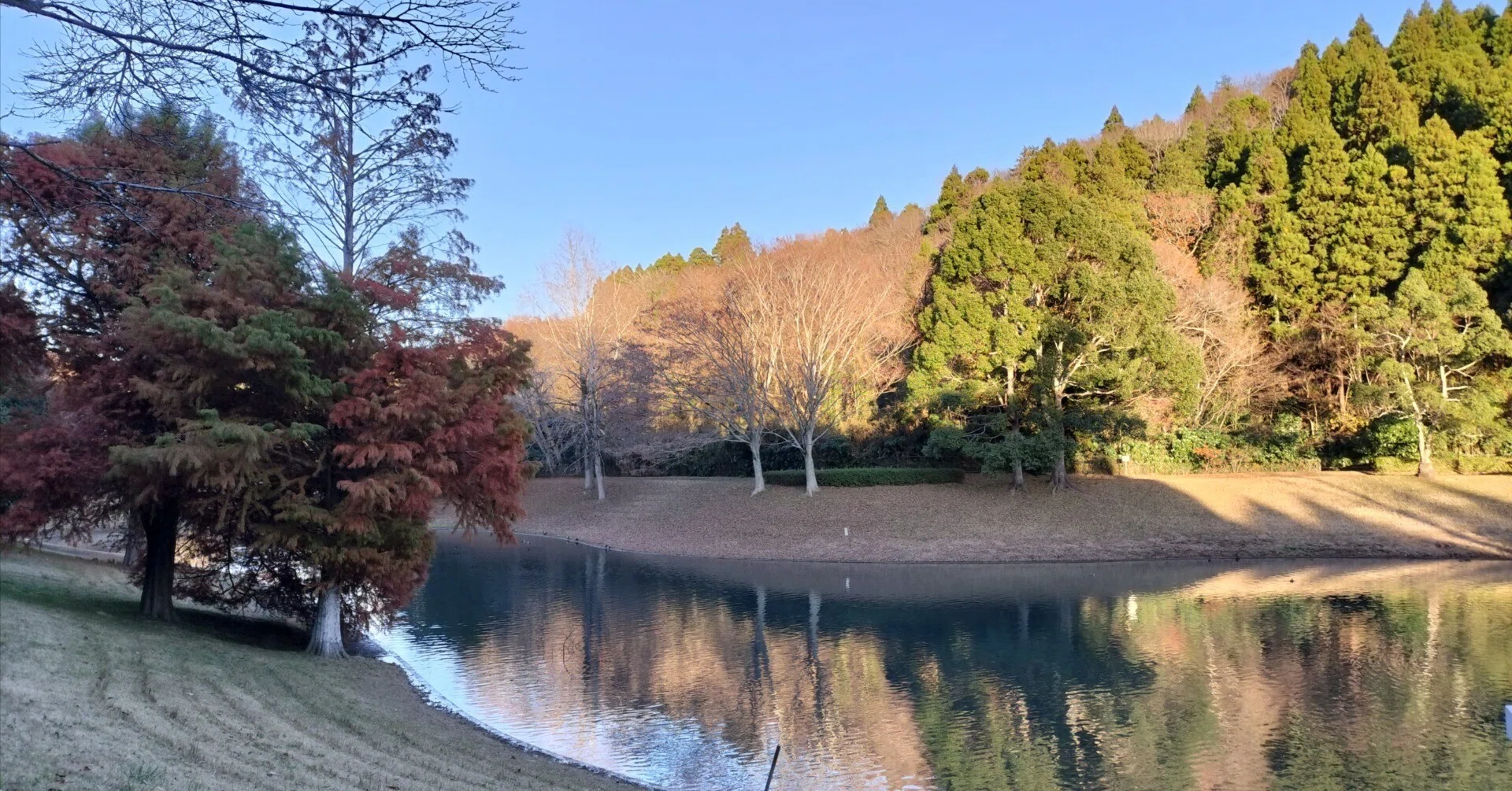 千葉 県 千葉 市 緑 区 あすみが丘