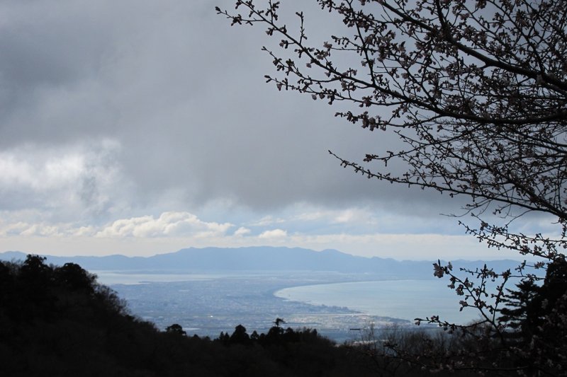 ちっちゃいキノコ ブナノシロヒナノチャワンタケ 大山ゲストハウス寿庵 Note