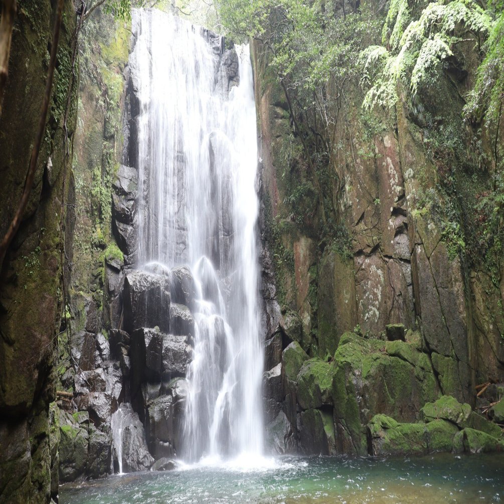 コアカリ重点ポイント集　滝 熊野に行くならここに行け epi.2/50 ｢桑ノ木の滝｣｜cool な kumano