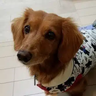 NAYUTA