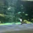 あおP