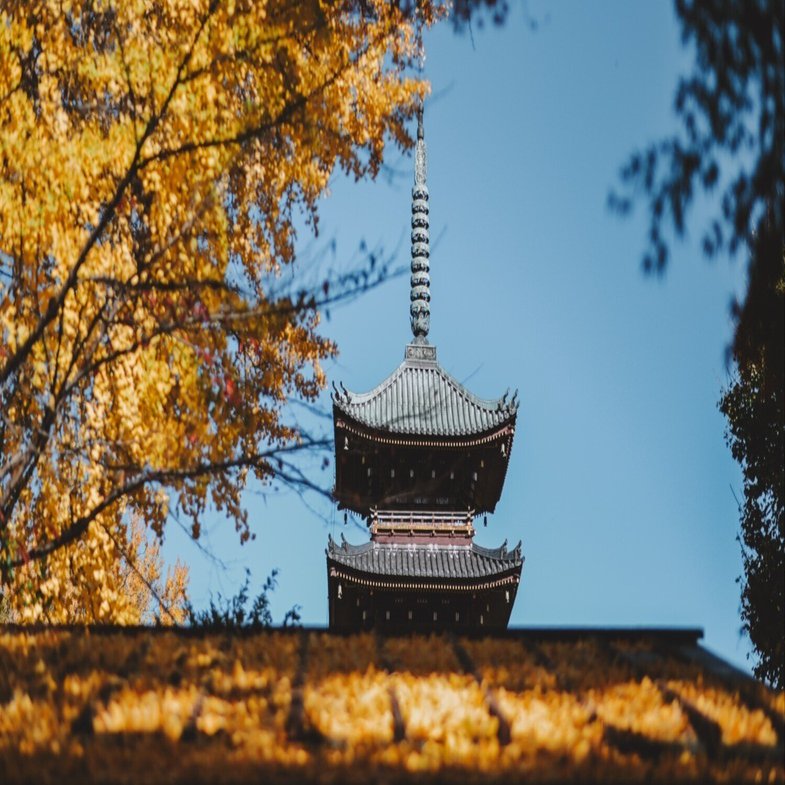 AF-S NIKKOR 58mm f1.4G 【作例18枚】｜koresaka