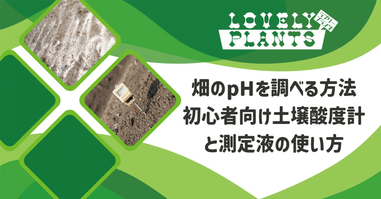 How to Check Soil pH | A Beginner's Guide to Using Soil pH Meters and ...