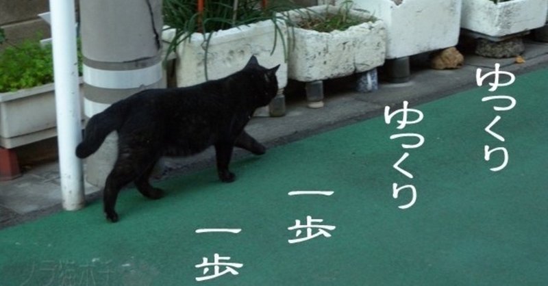 俺はキムタクにはなれないがキムタクも俺になれない 理論と劣等感とポケモン カトウ Note