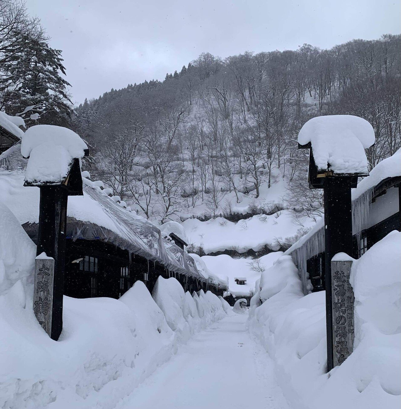 絵画 油絵　乳頭温泉　鶴の湯　ミニ美 温泉』乳頭温泉 鶴の湯♨️｜えむ
