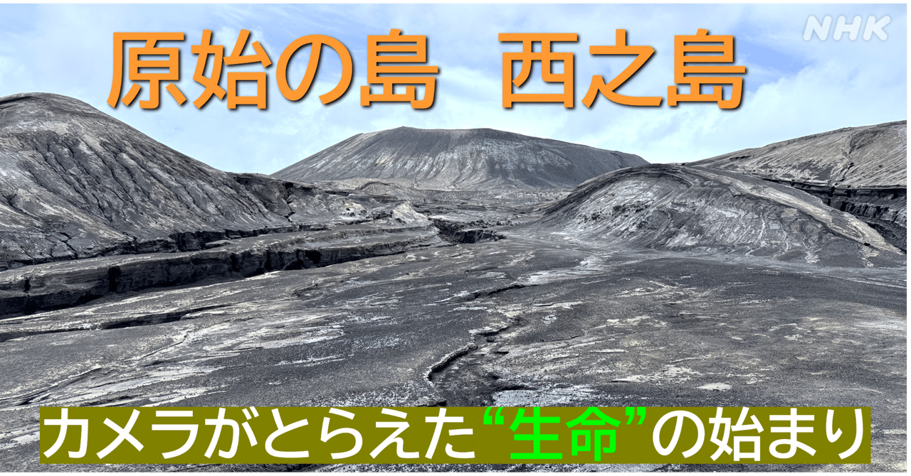 原始の島・西之島 NHKカメラがとらえた“生命”の始まり｜NHK広報局