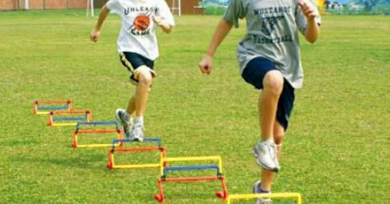 ミニハードルを用いたスプリントトレーニング 子どもの走る力を劇的に変える!ミニハードルトレーニング完全ガイド