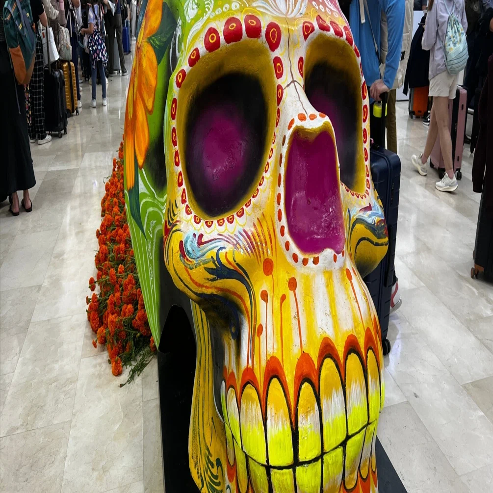 メキシコ　オアハカ　パームヤシ　カゴ　3点セット メキシコ旅🇲🇽〜オアハカ編①混雑するオアハカに遂に到着!｜mana1117