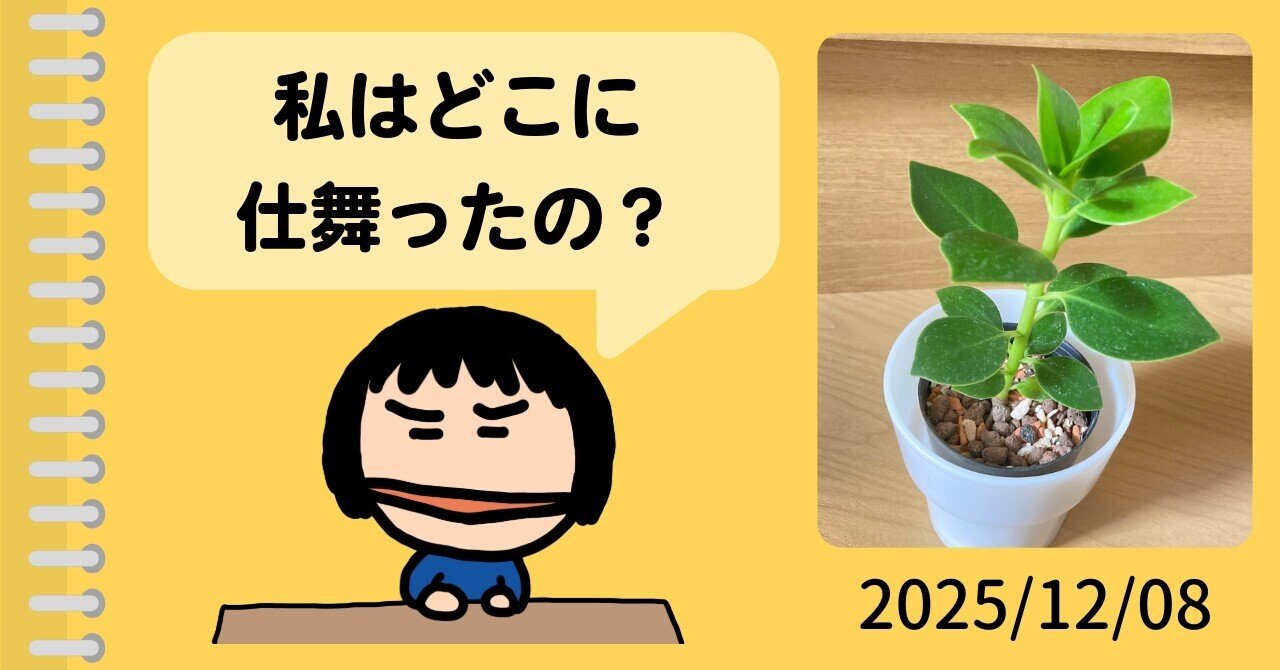 なくさないように仕舞うと、たいてい次に使いたいときに見つけられない・・・。|かたんこ