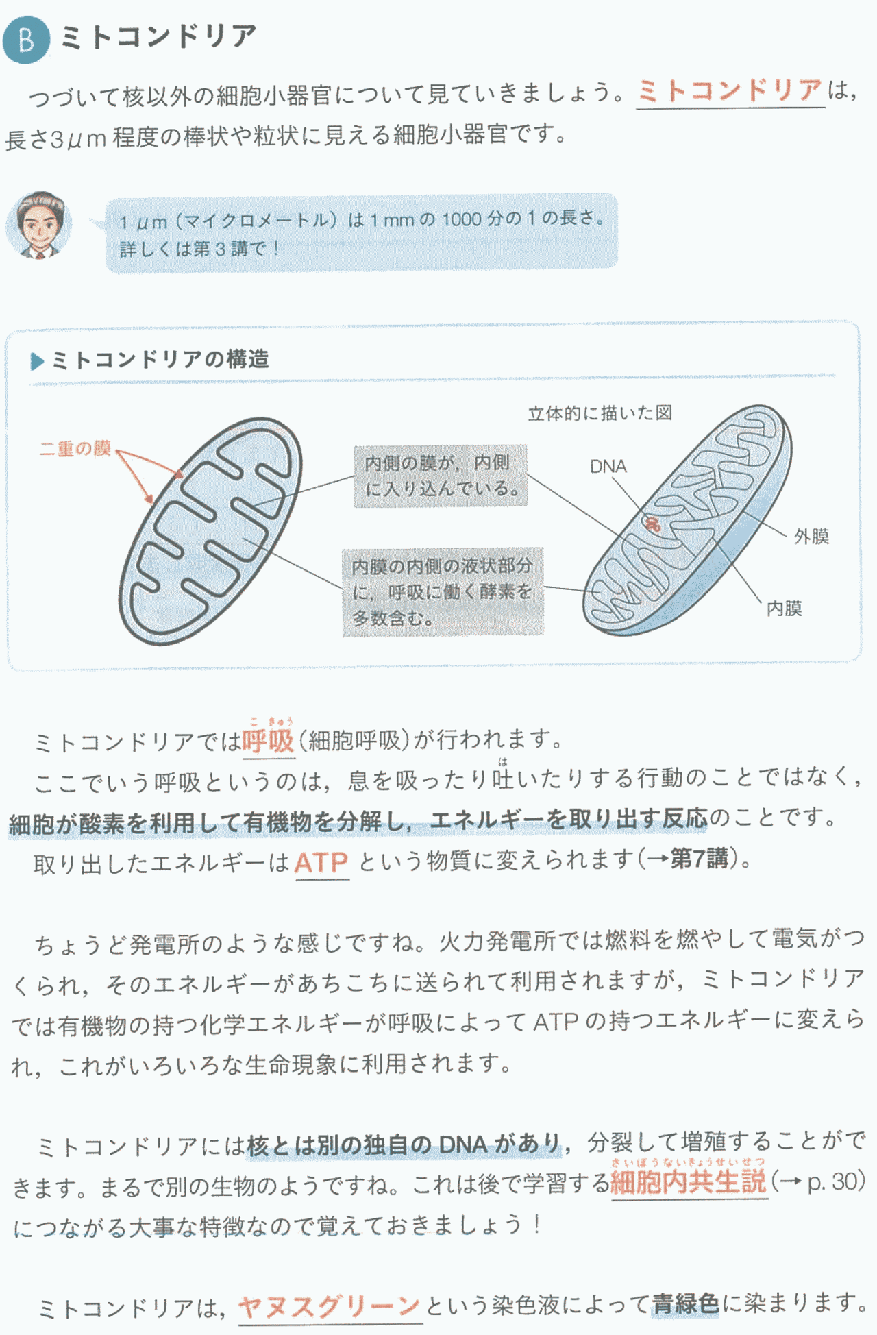 高1 生物 4 28火 19 00 さえぐさ Note 高1 生物 4 28火 19 00 さえぐさ Note