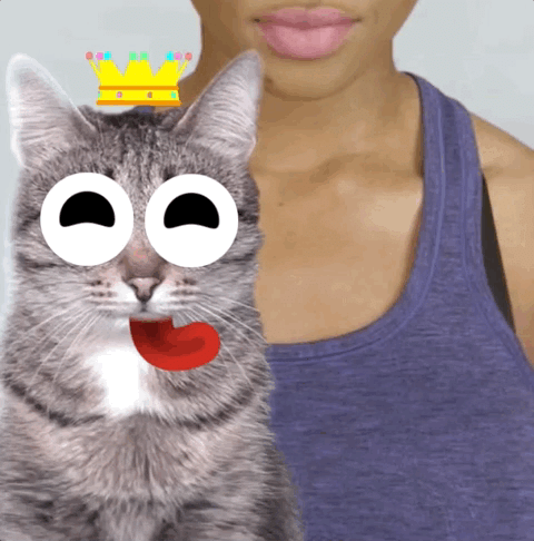 Snapchatのar開発プラットフォームlens Studioの特徴についてまとめてみた Ivan Note