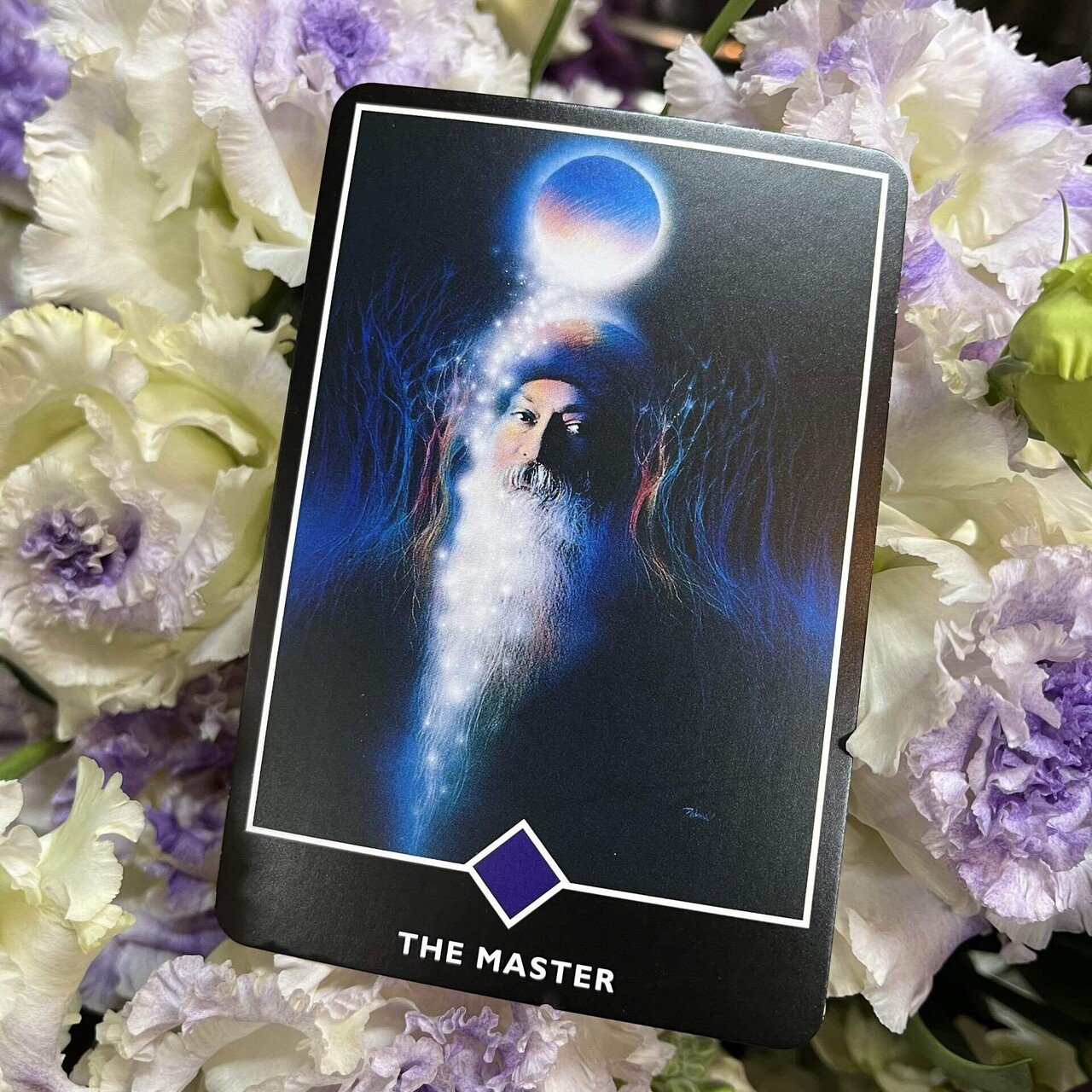 osyo禅タロット / THE MASTER ] 人生の主導権を握るのは自分。自らの