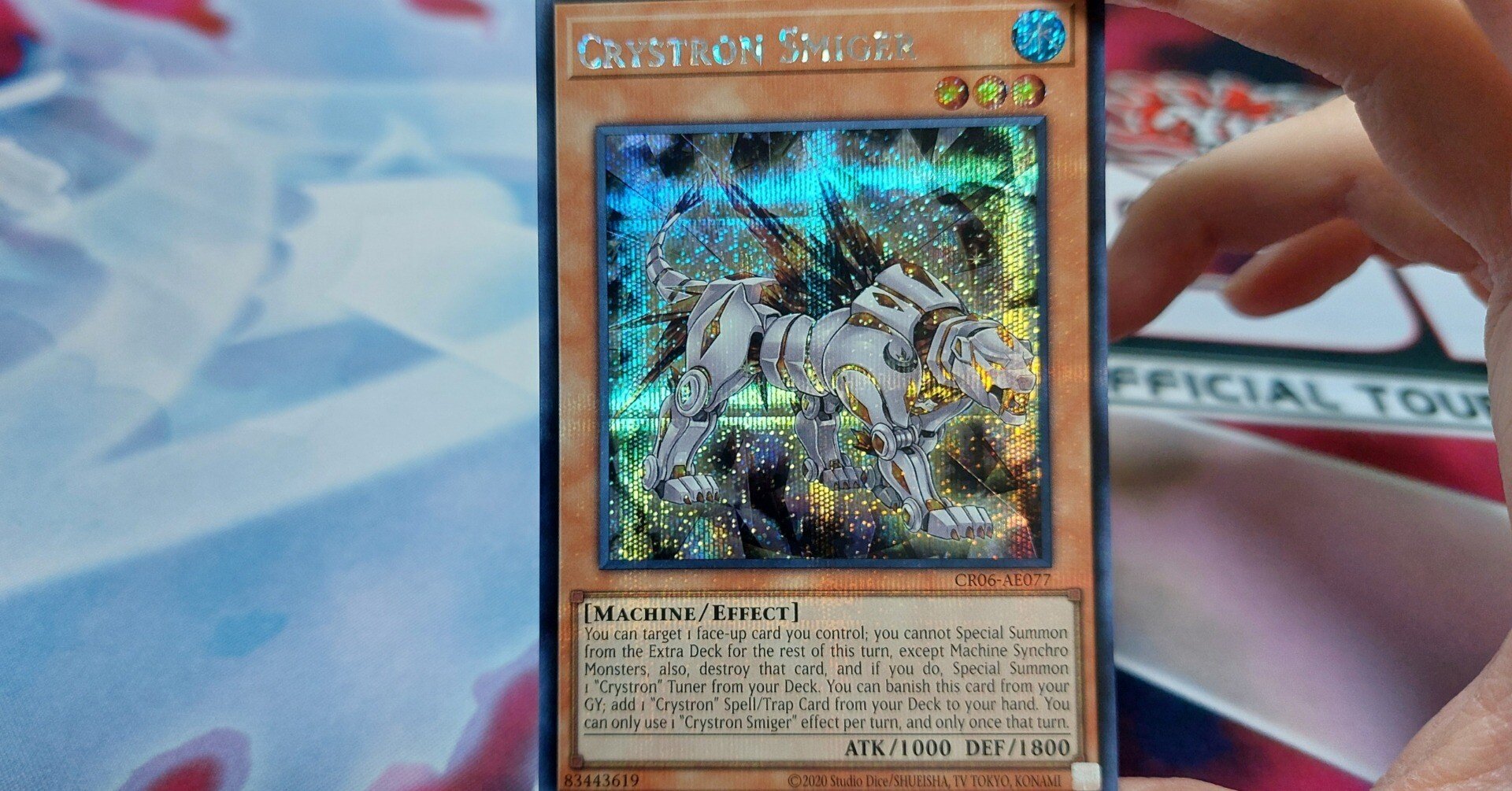 りょかの2025年の話(遊戯王編)｜りょか