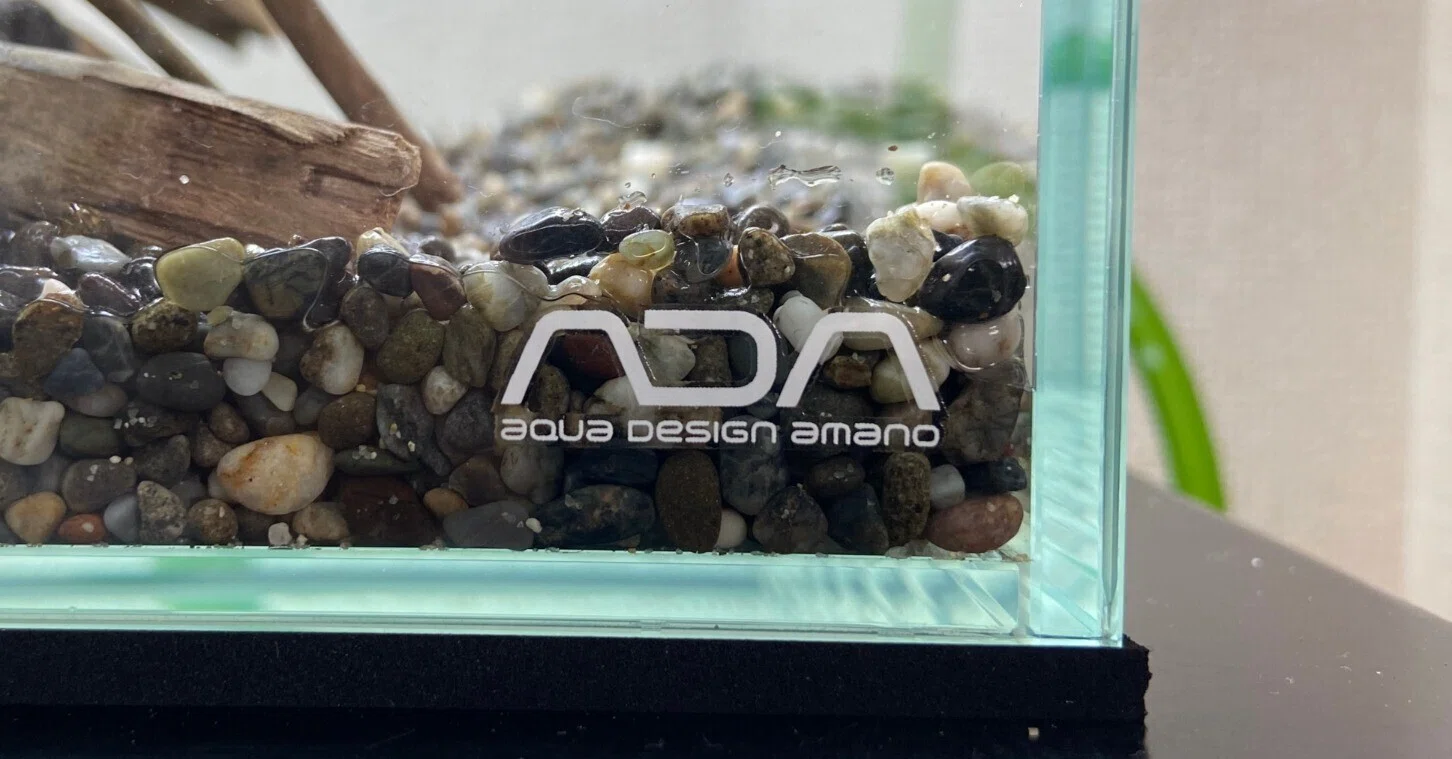 ADA キューブガーデン　立ち上げセット　未使用品 アクアリウム】水槽立ち上げ（ADAキューブガーデン）｜たけのこ@サイド