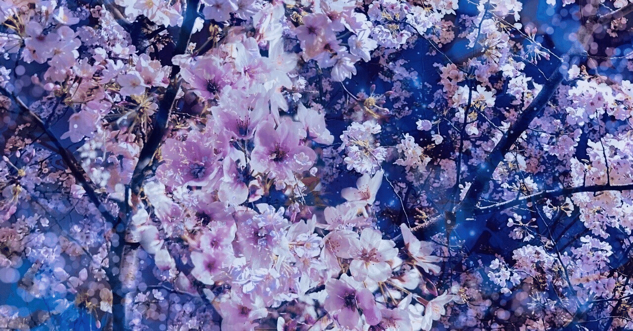 風賊王への道②〜夜に咲く奇跡の桜〜｜石川五右衛門α