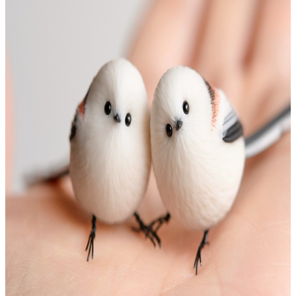 orange.skyの紹介 〜シマエナガとの出会いとこれから〜｜orange.sky