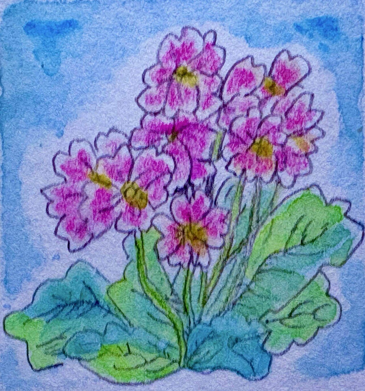 わたしもこれで❗️｜tohrudc