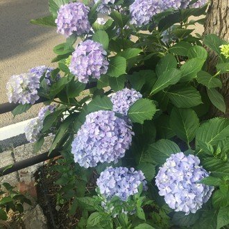 間合いを捉え コミュニケーションを深める Quiet Storm Note