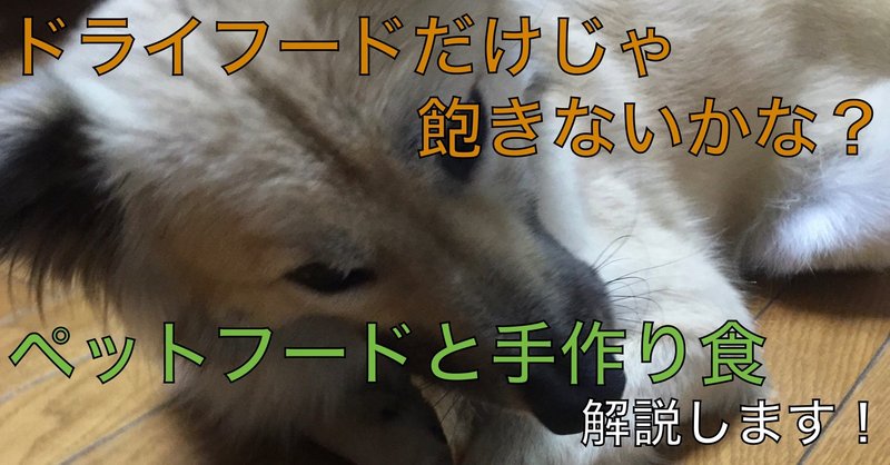 ドッグフードと手作り食 どっちが良いの ドッグライフサポーター 獅子パパ Note