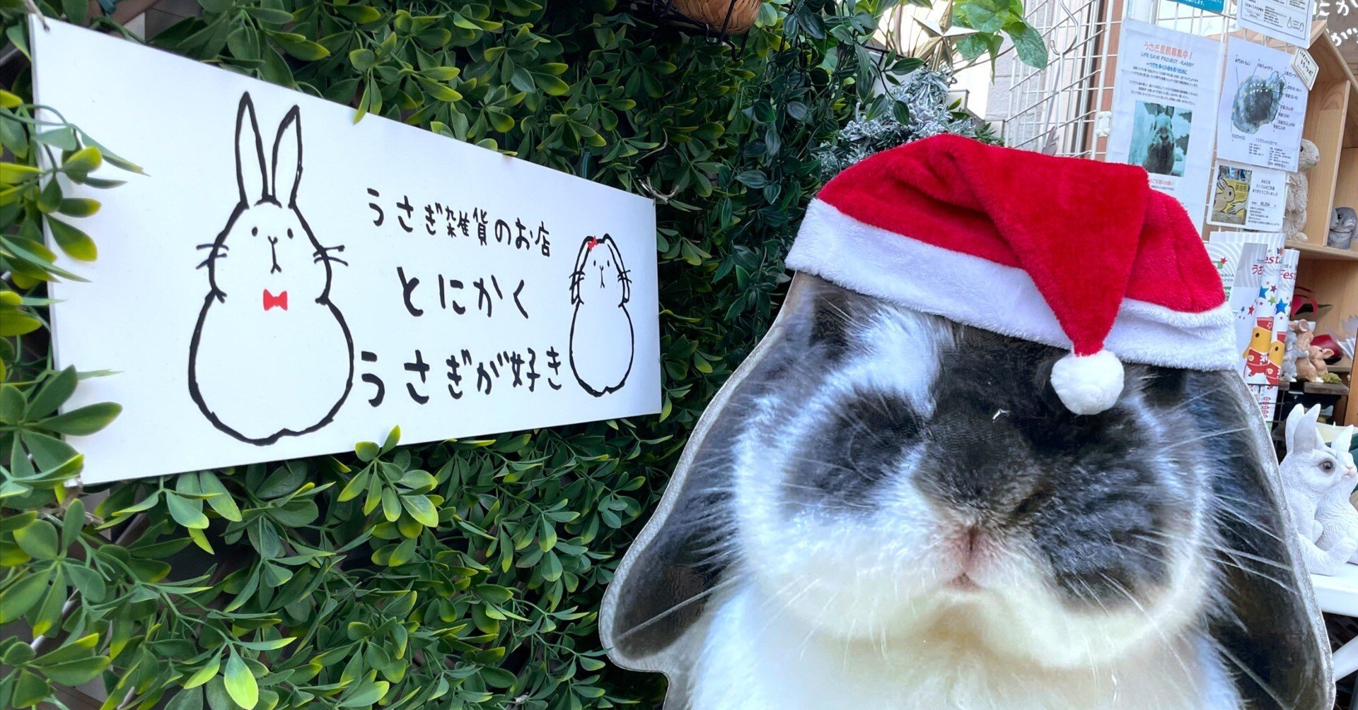 ゆきうさぎ様確認専用 うさぎ好きの聖地巡礼 その2 - とにかくうさぎが好きさん（東京