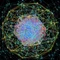 Cosmic Order