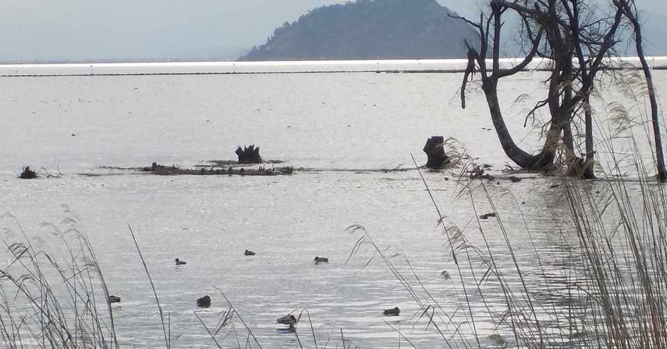 アニメ 放課後ていぼう日誌 れぽーと02感想 ネタバレあり ヌマサン Note